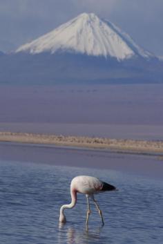 
                        
                            Tierra Atacama Hotel And Spa, San Pedro de Atacama, Chile
                        
                    