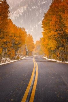 Ashcroft, Colorado ~ By Toby Harriman