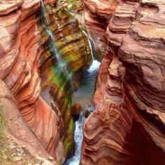 Grand Canyon National Park, Coconino County, Arizona