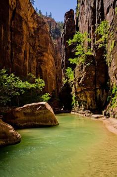 The Narrows hike at Zion National Park