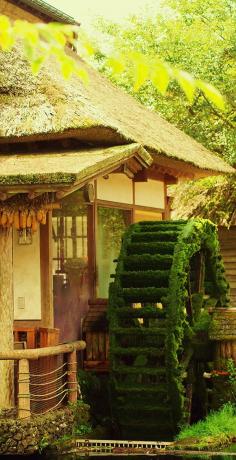 
                        
                            Mossy Waterwheel, Yamanasshi, Japan
                        
                    