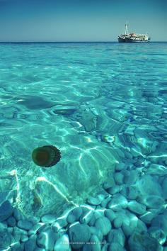 
                        
                            Lalaria beach in Skiathos Island, Greece. by vainas
                        
                    