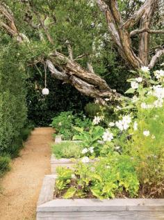 California garden with hanging lantern.