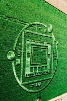 Chualar crop circle contains message, braille expert says | Salinas News - KSBW Home