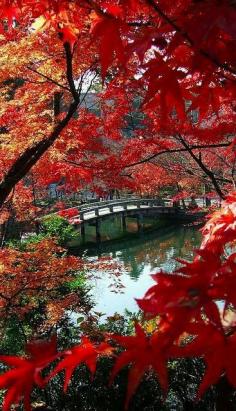 Kyoto - Eikan-do temple