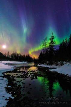 Aurora moonset, Alaska - photo: CJ Kale.