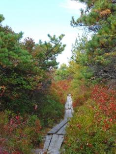 Hiking Sam's Point, Indian Rock, High Point and Verkeerder Kill Falls Loop in New York