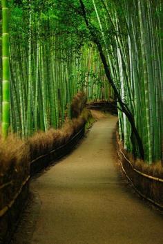 
                        
                            Bamboo forest in Arashiyama district, (on the western outskirts of) Kyoto, Japan. Nationally-designated Historic Site and Place of Scenic Beauty
                        
                    