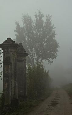 
                        
                            Via della malinconia | Lombardia, Italy by Antonio Romei
                        
                    