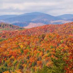 
                        
                            12 Places That Do Fall Better Than Anywhere Else #refinery29  www.refinery29.co...   Blue Ridge Parkway, North Carolina  A drive along the 469-mile highway is the perfect way to see fall's changing colors up close.
                        
                    