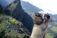 Machu Picchu, Peru