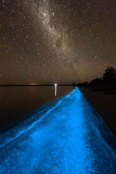 
                        
                            Parguera Fishing Charters, La Parguera, Puerto Rico — by Rita LaDouceur. Fluorescent Bay ...La Parguera, PR
                        
                    