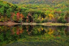 Photographing fall foliage