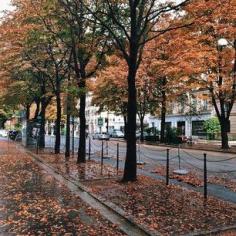 Fall has arrived in the City of Light. Photo courtesy of shwidjaja on Instagram.