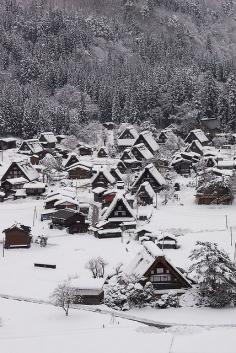 
                        
                            Gifu Pref. - Shirakawa
                        
                    