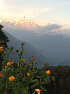 
                        
                            Himalayan View Lodge & Restaurant, Ghandruk, Nepal
                        
                    