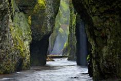 
                        
                            Oneonta Gorge, Oregon | 29 Surreal Places In America You Need To Visit Before You Die
                        
                    