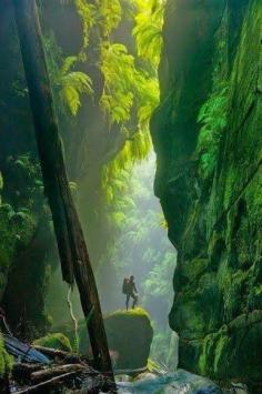 
                        
                            Beautiful Mountains - Blue Mountains- Australia
                        
                    