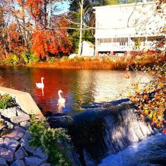 
                        
                            12 Places That Do Fall Better Than Anywhere Else #refinery29  www.refinery29.co...  Providence, RI  This view of the Woonasquatucket River is gorgeous to begin with, but the swans are extra swoon-worthy.
                        
                    