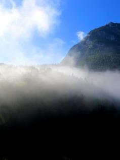 #Morning pictures in September 2014 beim Hotel Mauthäusl near #Inzell with german description: www.reiseziele.co... #Alps #Bavaria #Germany