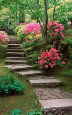 
                        
                            azaleas japanese garden oregon
                        
                    