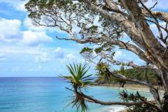 Noosa National Park, Noosa Heads, Australia - An absolutely breathtaking coastline! A great place to walk with the family!