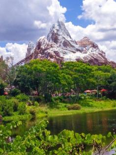 
                        
                            Expedition Everest, Bay Lake, Florida - Great view of Disneys Expedition Everest in the Animal Kingdom from a very hot summer day
                        
                    