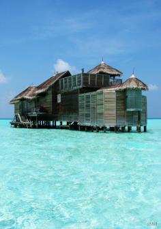 
                        
                            The Amazing Maldive Islands Part III(10 Pics) | See More Pictures | #SeeMorePictures
                        
                    