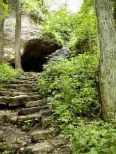 
                        
                            Backbone State Park - Strawberry Point, Iowa. Climbers and rappellers will find many challenging cliffs of rugged dolomite limestone throughout the park.
                        
                    