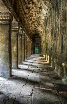 
                        
                            Ta Prohm, Siem Reap Province, Cambodia
                        
                    