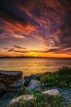 
                        
                            Puget Sound, Washington Larry Waldon
                        
                    