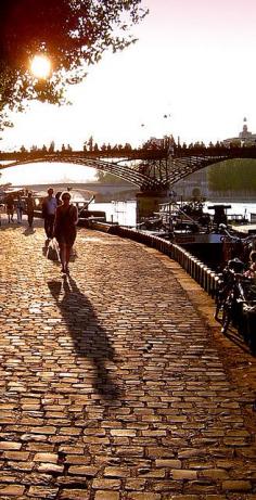 
                        
                            La Seine in Paris, France. Went on a Bateau Mouche down the river La Seine in Paris singing La Vie en Rose. What a lovely evening.
                        
                    