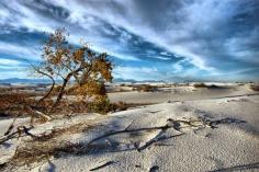 
                        
                            White sand national museum new mexico
                        
                    