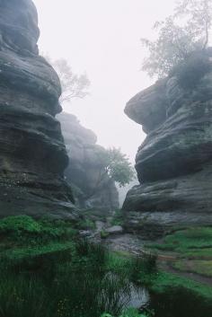 Brimham Rocks 4 (by spinningstill)