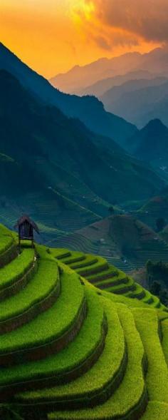 Sunset of Rice Terrace @ Mu Cang Chai, Vietnam