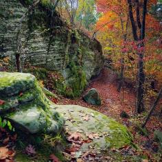 Fall colors make ordinary places seem romantic. Photo courtesy of aaronfuhrmanphotography on Instagram.