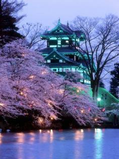 
                        
                            Tokyo, Japan...Stunning !
                        
                    