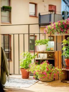 Potted plants and wooden crates accessorize this small balcony.