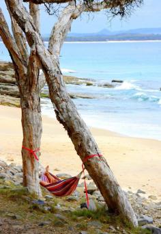 Tea Tree Bay, Queensland, Australia - A morning walk on the coastal track in Noosa.