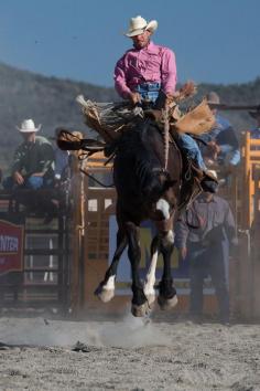 California Rodeos