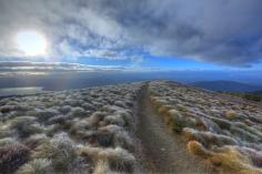 Frosty morning along the Kepler Track Great Walk A stunning 4 day hike this Great Walk traces the ridgelines along the Kepler Mountains in Fiordland. Read more on our blog www.stokedforsatu... Discovered by Stoked for Saturday at Luxmore Hut, Fiordland National Park, New Zealand