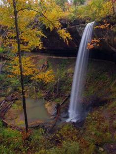 
                        
                            Broke Leg Falls in Menifee County, Kentucky, part of the Red River Gorge National Geological area.  Photo Credit: Fultz Fotos #kentucky #redrivergorge
                        
                    