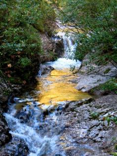 #Morning pictures in September 2014 beim Hotel Mauthäusl near #Inzell with german description: www.reiseziele.co... #Alps #Bavaria #Germany