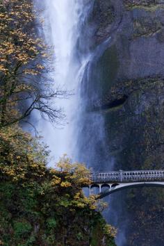 head up, my love. Multnomah Falls (by Βrandon)