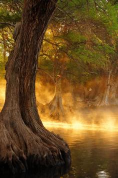 
                        
                            Lago de Camécuaro, Mexico by Nikoniano
                        
                    