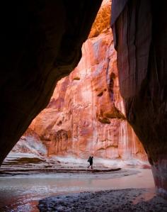 Buckskin Gulch Trailhead, Kane County, Utah