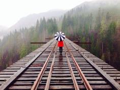 Vance Creek Bridge, Olympia, Washington