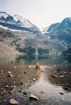 brutalgeneration:  never summer mountains. (by kateatstofu)