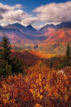 “Adirondack State Park, New York Adam Baker ”