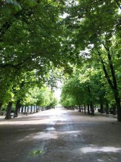 Strolling in Paris                    Page in Paris